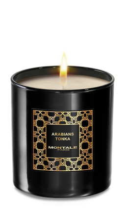 Candle Arabians Tonka