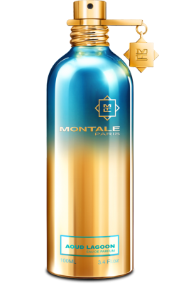 montale dark aoud review