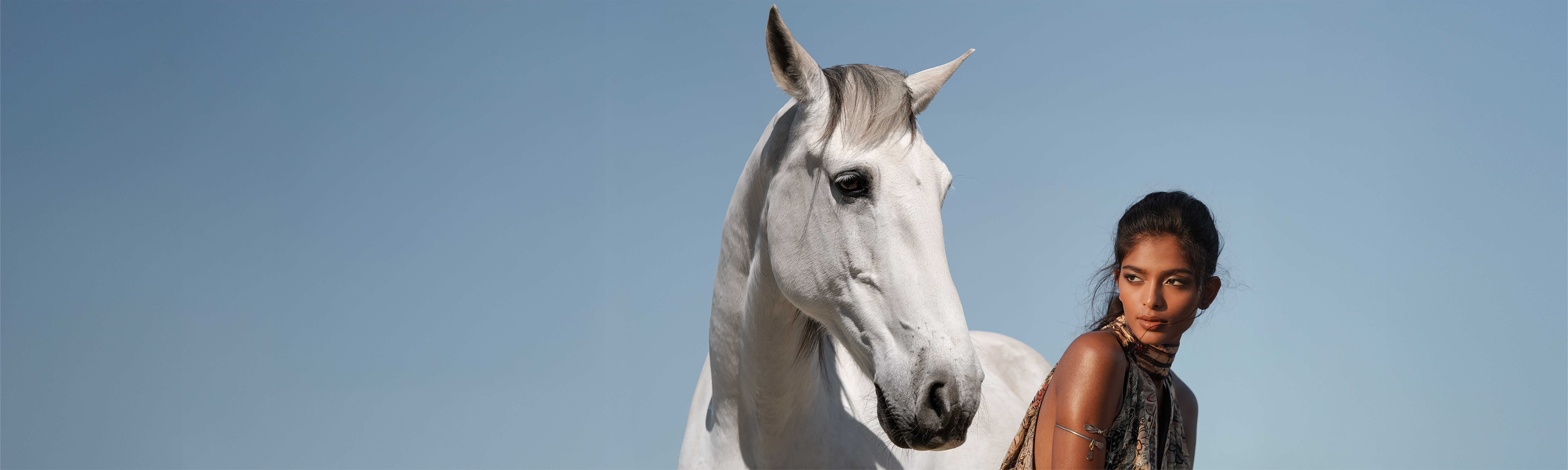 Arabians Collection