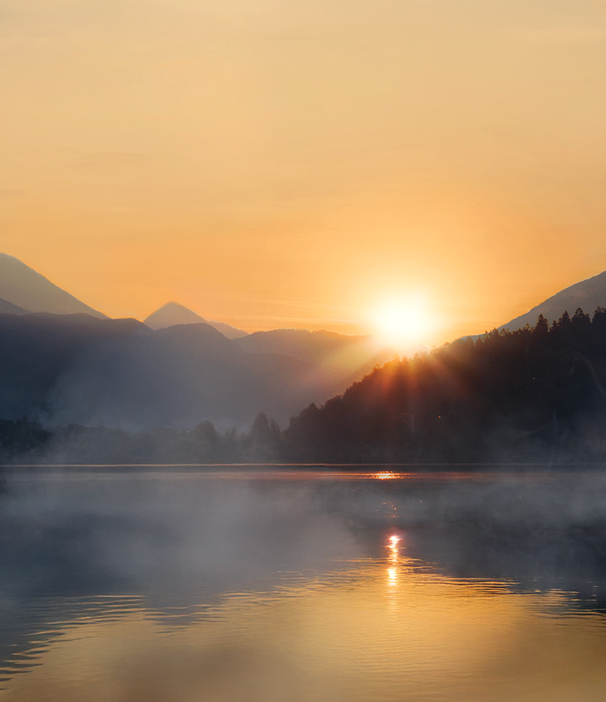 Wild Refuge