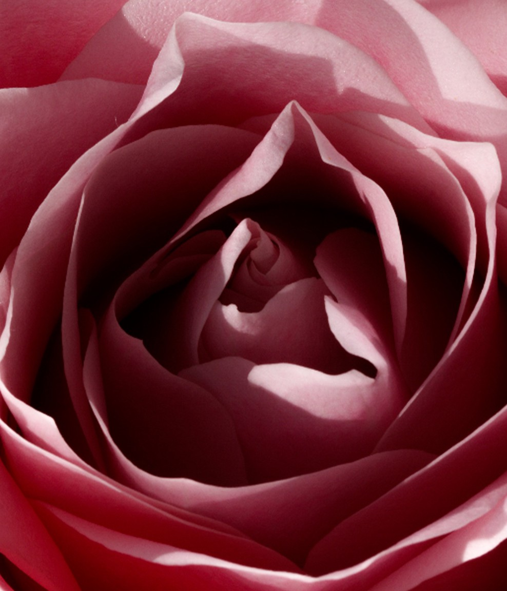 Highlight top